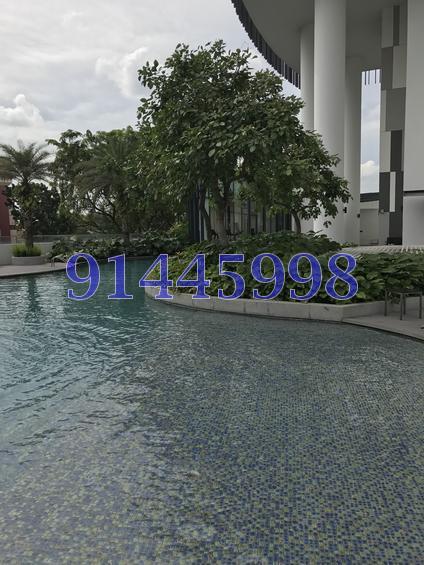 368 Thomson (D11), Condominium #131317392